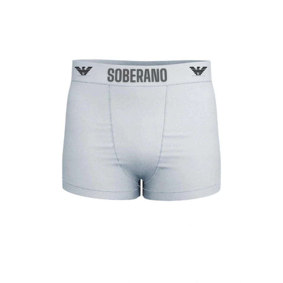 Kit 3 Cuecas Boxer Masculina Microfibras Sortidas